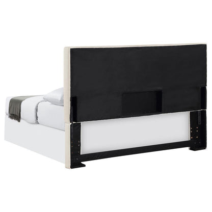Pirro - Upholstered Panel Headboard
