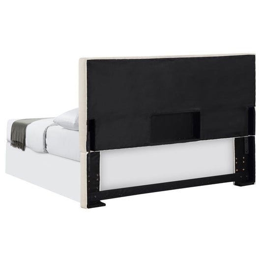 Pirro - Upholstered Panel Headboard